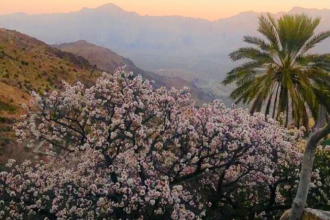 Nakhal Hotspring and Wakan Village Private Full Day Tour - Should you book the Nakhal and Wakan tour?