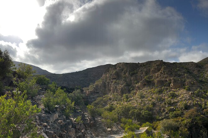 Nizwa and Jebel Akhdar Discovery: Guided Small Group Experience - Why this Muscat day trip works