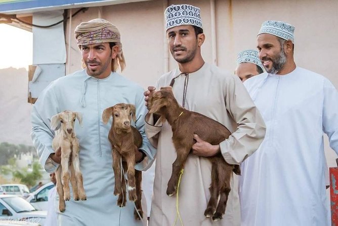 Nizwa Friday Market Jabal Chams - Who should book this Nizwa and Jabal Shams day?