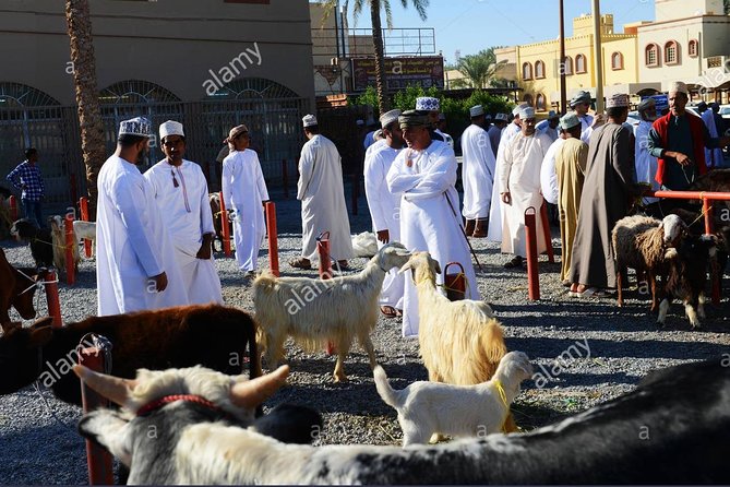 Nizwa Friday Market Jabal Chams - Al Hamra keeps an old Omani village in the route