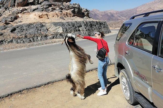 Nizwa. Hambra. Grand Canyon Oman - Why this Muscat day trip is worth considering