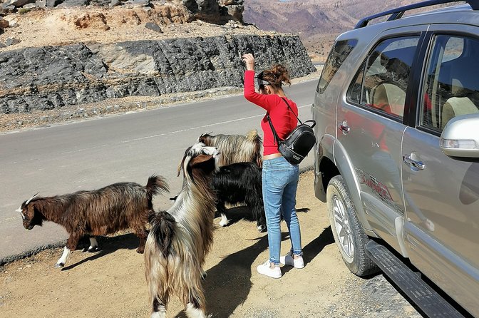 Nizwa. Hambra. Grand Canyon Oman - Timing, pickup, and what to bring