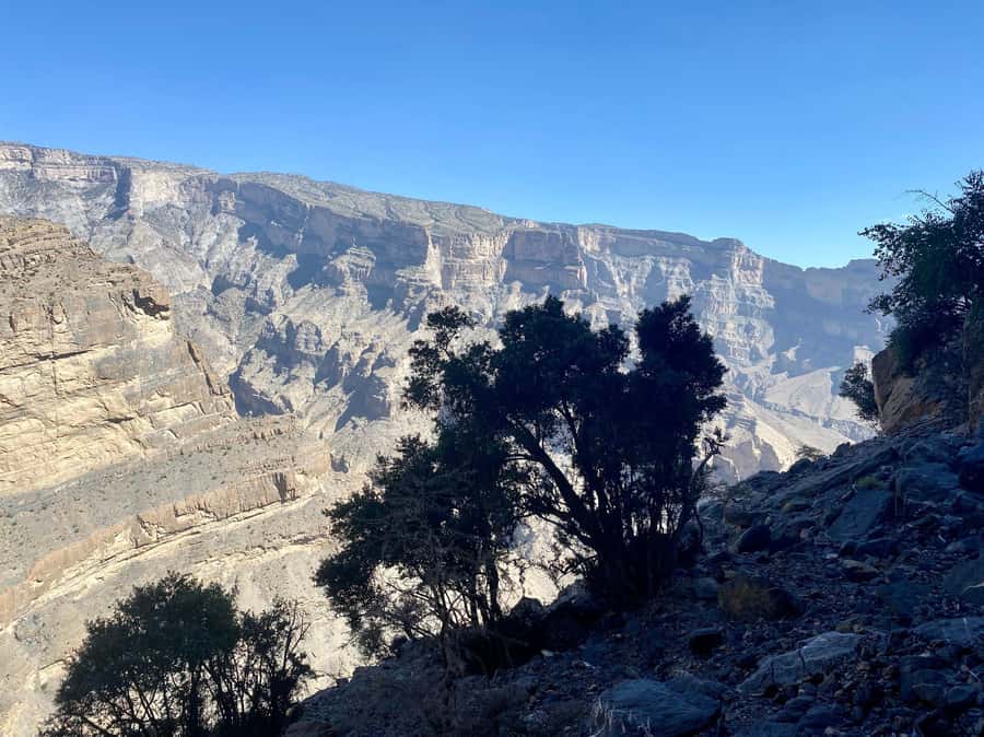 Nizwa: Jebel Shams Balcony Walk and Via Ferrata Adventure - What the via ferrata is really like