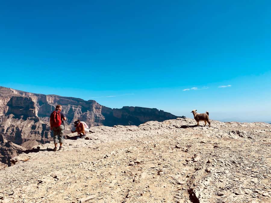 Nizwa: Jebel Shams Balcony Walk and Via Ferrata Adventure - Language, group size, and guide support
