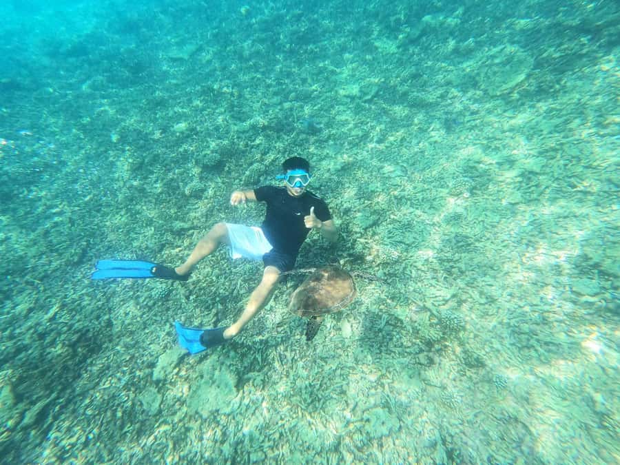 Oman: Daymaniyat Island Snorkeling Trip with Equipment - Kayaking, swimming, and time above the water