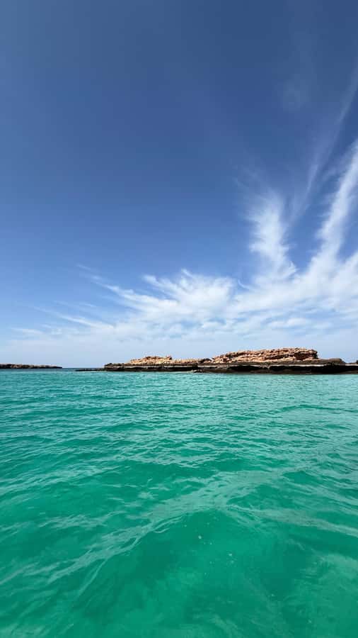 Oman: Daymaniyat Islands Visit and Snorkeling - First snorkeling session: turtles, coral, and fish