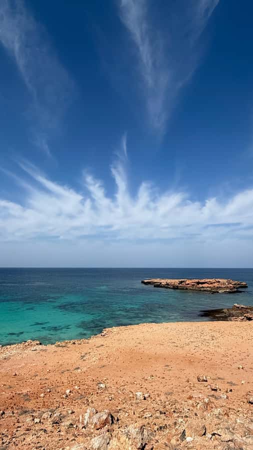 Oman: Daymaniyat Islands Visit and Snorkeling - Summer trips replace the beach with more snorkeling
