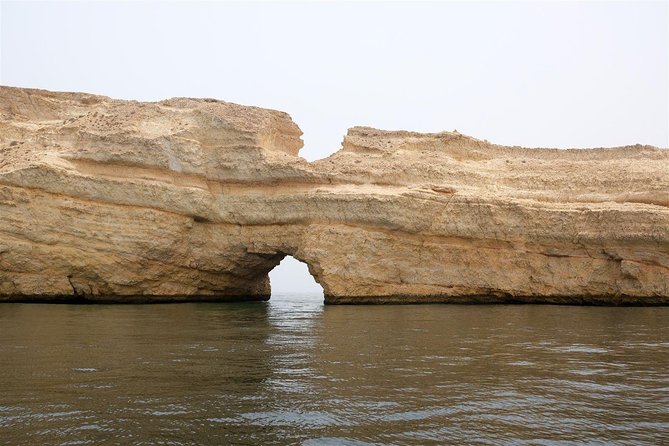 Oman Dolphin Watching Tours - Searching for spinner and bottlenose dolphins