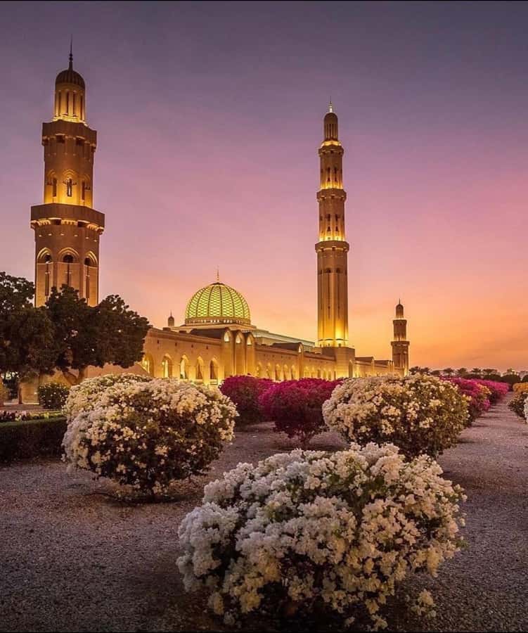 Oman:Group Muscat City Tour With Pick Up & Free Lunch/Dinner - Key points to know before booking