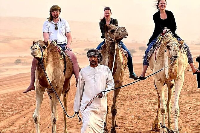 Oman Highlights: Wahiba Sands Desert & Wadi Bani Khalid Tour - Price and value at $187 per person