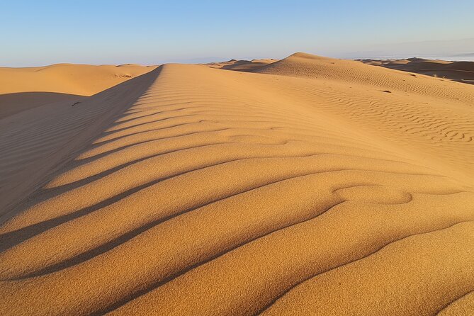 Oman Highlights: Wahiba Sands Desert & Wadi Bani Khalid Tour - Who will enjoy this Oman day trip