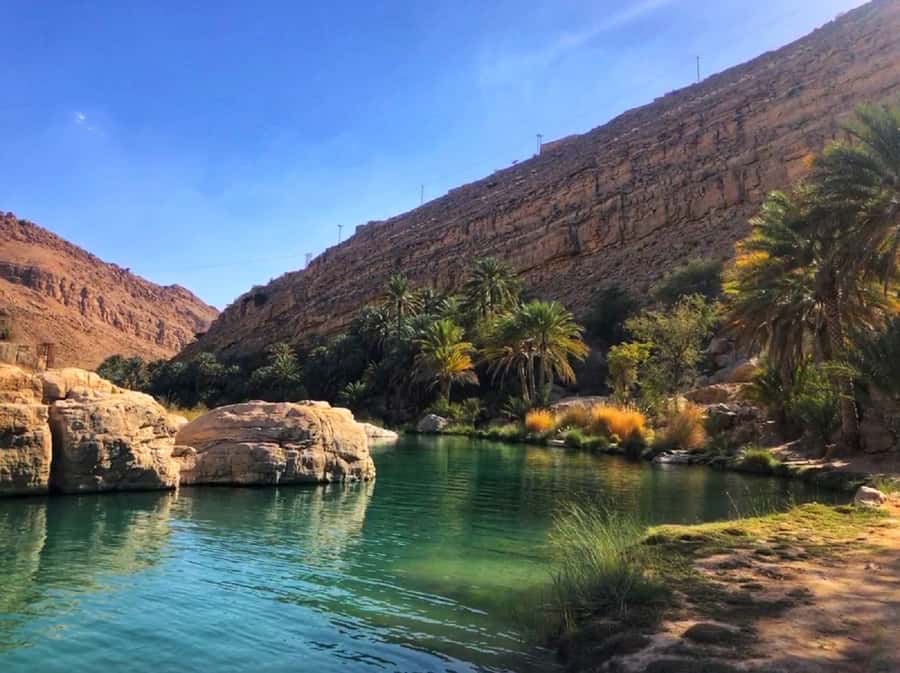Oman: Jasmin Tour | 3 Days Private Package Tour - Ibra’s market and village life