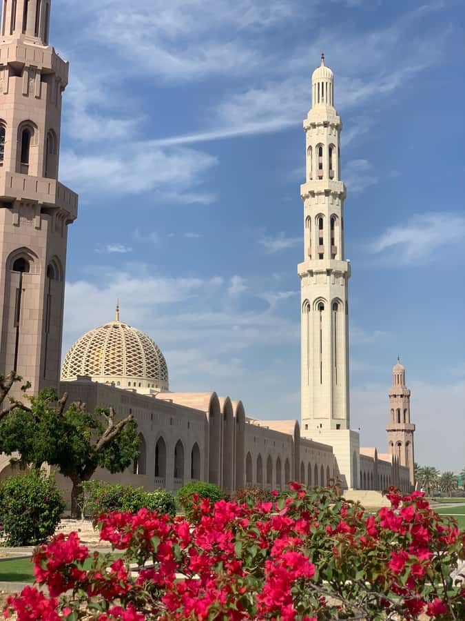 Oman: Private City Tour of Muscat with pick up/drop off - The National Museum fills in the story