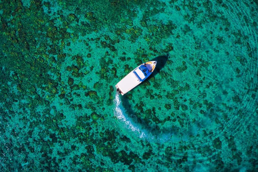 Oman: Snorkeling Trip at Daymaniyat Islands - Final call: should you book it?