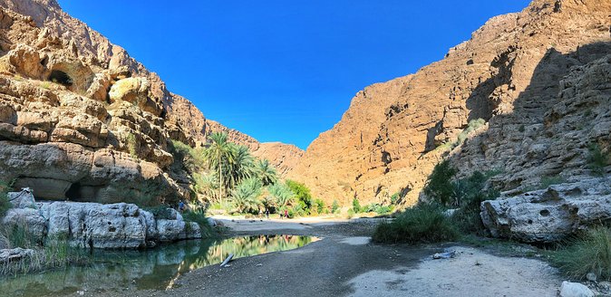 Overnight Desert Tour with Wadi Bani Khalid - Camel riding on the second morning