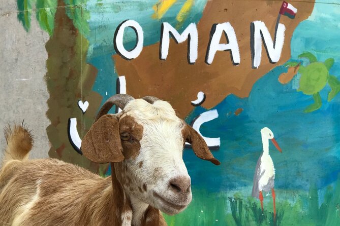Private 2 Day Wadi Shab and Bimmah Sinkhole Tour - Sur shows Oman’s seafaring side