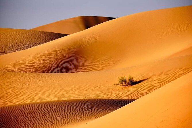 Private 2 Days 1 Night Wahiba Sands Desert and Wadi Bani Khalid Tour - How the private format affects the day