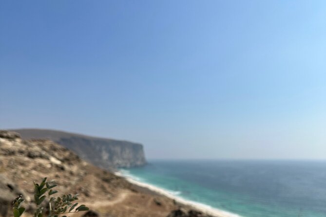 Private Caribian Orient (Swiming in Fazayeh Beach ) - A short look at Dhofar’s frankincense trees