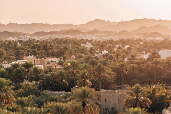 Private Day Tour to the Enchanting Forts of Nizwa - Jabreen Castle and its painted interiors
