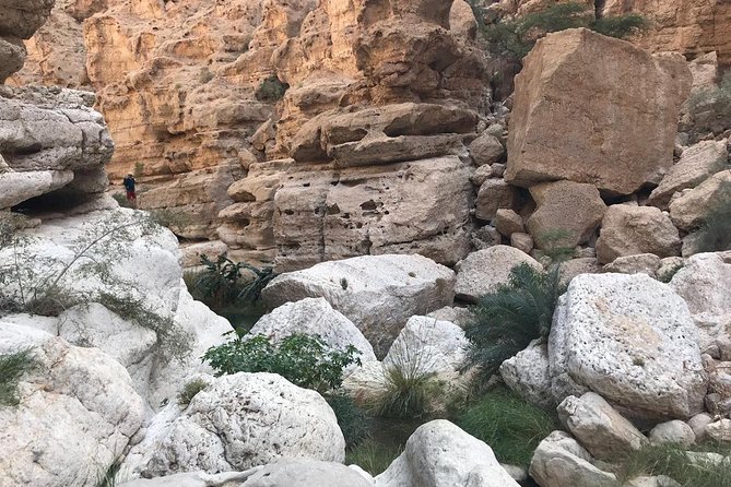 Private Day Trip to Wadi Shab & Bimmah Sinkhole Price Up To 5 Persons - What to bring and how to pace yourself