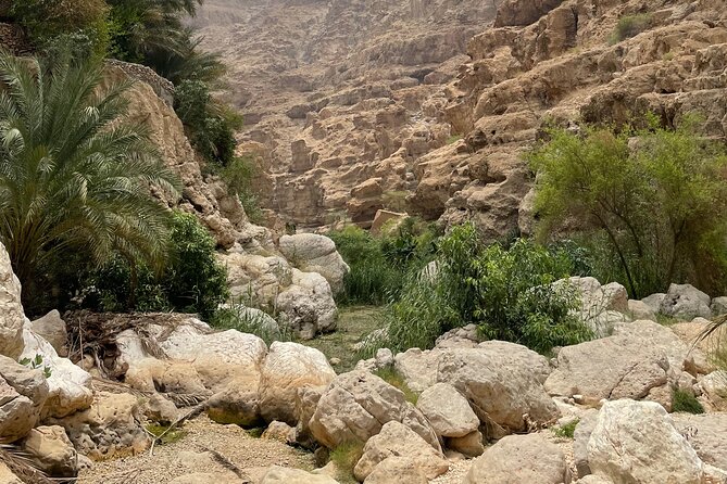 Private Day Trip to Wadi Shab, Fins Beach & Bimmah Sinkhole - Bimmah Sinkhole brings a final swim option