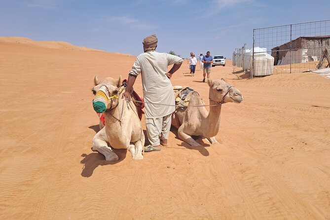 Private Desert and Wadi Tour in Oman - Booking, timing, and cancellation details