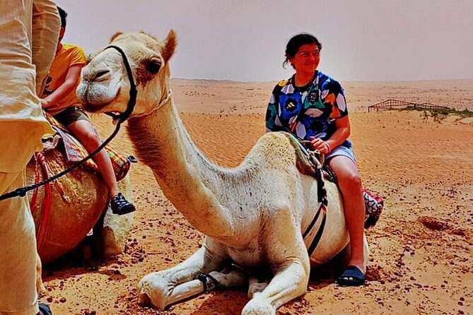 Private Desert Tour with Activities - Full Day - Dune driving and sunset views