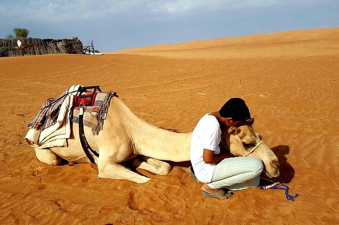 Private Desert Tour with Activities - Full Day - Lunch is not part of the $175 price