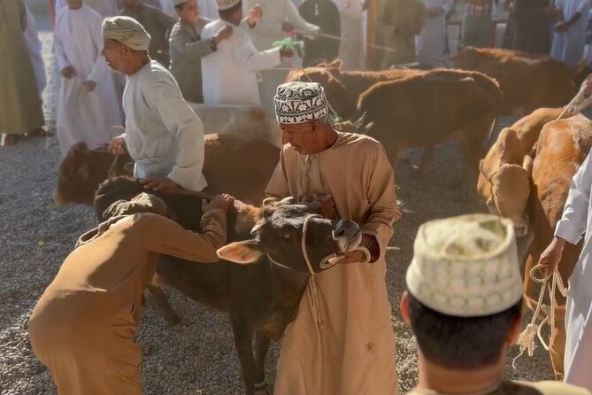 Private Friday Cattle Market-Nizwa and Jebel Akhdar-Full-Day Tour - Nizwa Fort and views over the old city