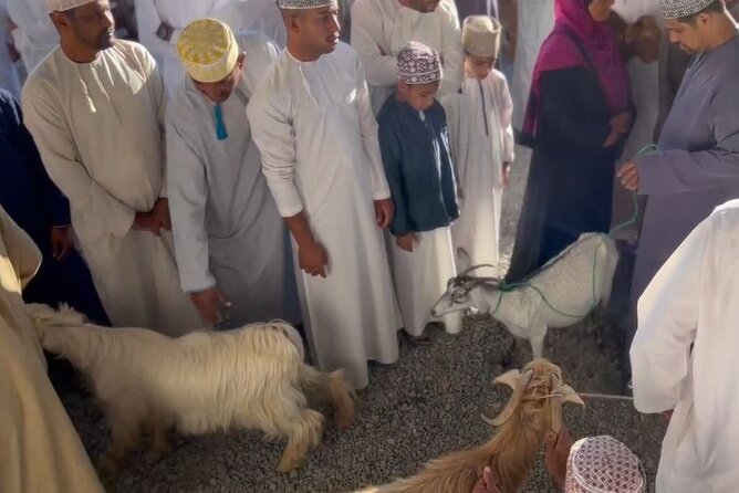 Private Friday Cattle Market-Nizwa and Jebel Akhdar-Full-Day Tour - Nizwa’s livestock market: two hours of real local life