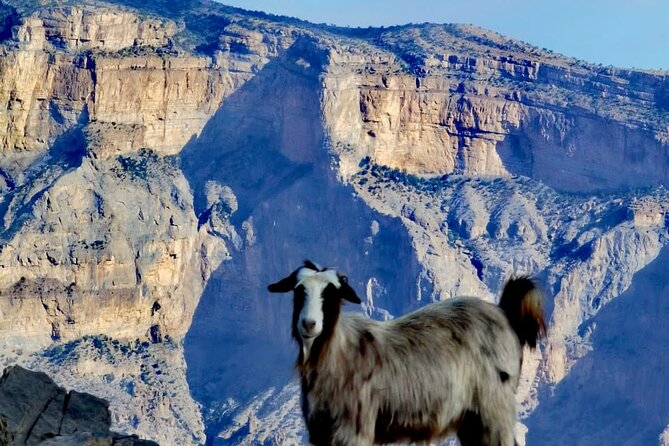 Private Full Day Guided Balcony Walk Hiking to Jebel Shams - Reaching the abandoned village
