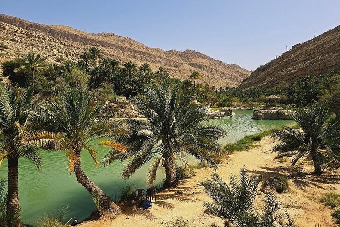 Private Full Day Private Desert Safari Tour - Coffee, dates, and the Bedouin house visit