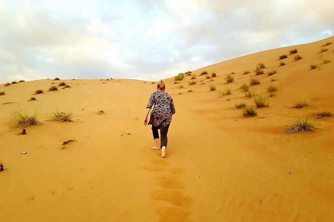 Private Full Day Private Desert Safari Tour - How the private format affects the value