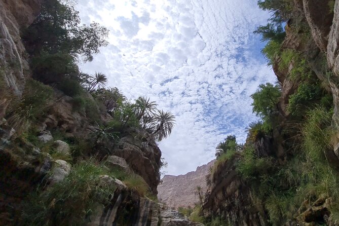 Private Full-Day Wadi Tiwi and Bimmah Sinkhole Tour from Muscat - Practical advice for making the day better