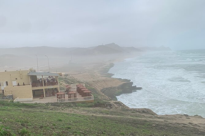 Private Guided Tour to West Beaches of Salalah - A living frankincense tree by the roadside