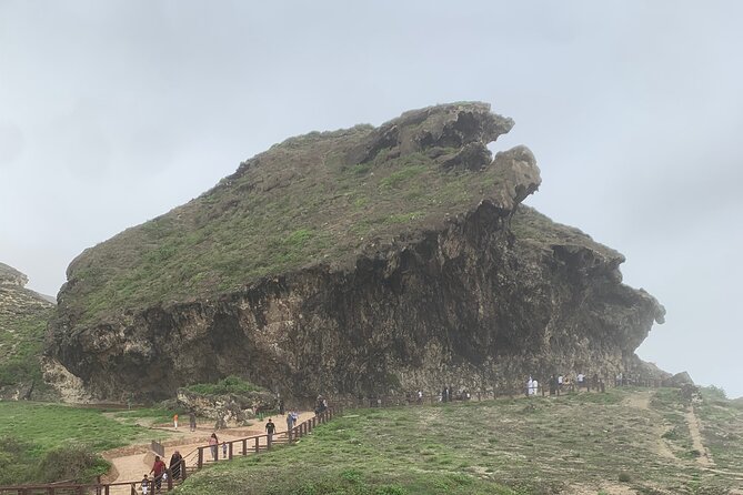 Private Guided Tour to West Beaches of Salalah - What the $195 group price really buys