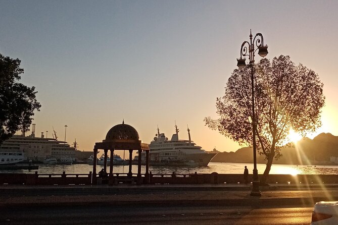 Private Half-Day Muscat City At Night Tour - What your guide adds to the route