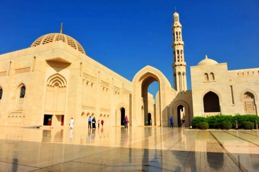 Private Half-Day Muscat City Tour - The vehicle, guide, and timing