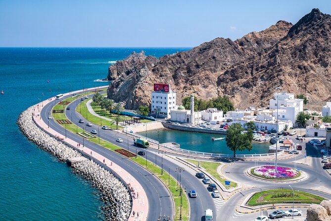 Private Half Day Muscat City Tour (Morning or Afternoon) - Old Muscat from above