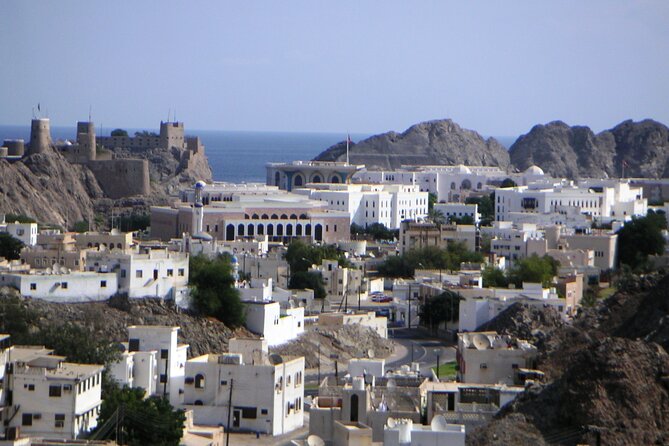 Private Muscat City Sightseeing Tour - A Fascinating Capital - Al Alam Palace and the two Portuguese forts