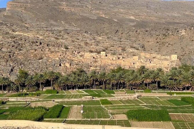 Private Nizwa - Al Hamra Old Village - Misfah Al Arbyeen - Full Day Tour - Who will enjoy this tour most?