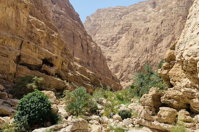 Private Oman Desert Overnight in Wahiba Sand and Wadi Exploration - Wadi Shab: the trip’s most active morning