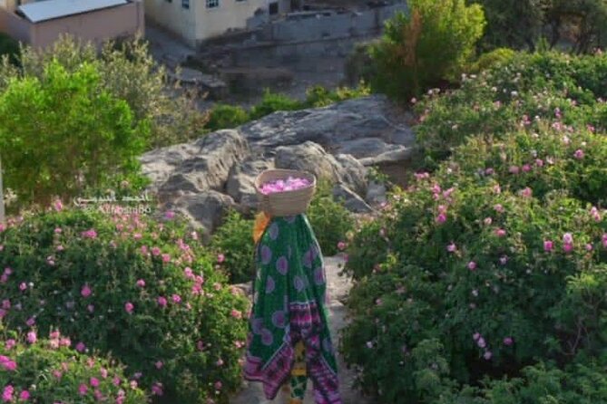 Private Oman Full Day Guided Sightseeing Tour - A private guide can change the feel of the day