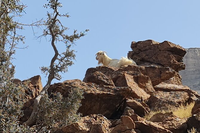 Private Overnight Jebel Shams Camping Tour - Al Hamra and Misfah Al Abriyyin