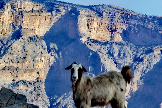 Private Overnight Nizwa & Jebel Akhdar Tour from Muscat - Bahla Fort: a major heritage stop with an extra fee
