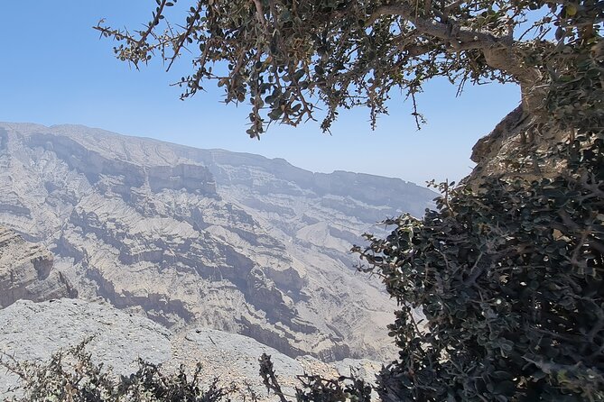 Private Overnight Nizwa & Jebel Akhdar Tour from Muscat - Al Hamra and Misfat Al Abriyeen: the most atmospheric villages