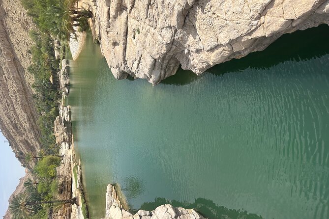 Private Safari tour and Wadi in 4x4 with a local guide - A guide who adds context to the scenery