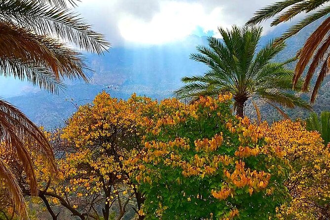 Private Sultan Qaboos Grand Mosque-Nakhal Fort-Wakan Village - Full Day Tour - Wakan Village and the high mountain terraces