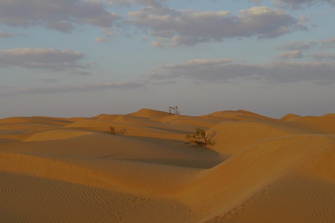Private tour - Empty Quarter desert adventure - Wadi Dawka + Ubar - Timing, Pickup, and Practical Comfort