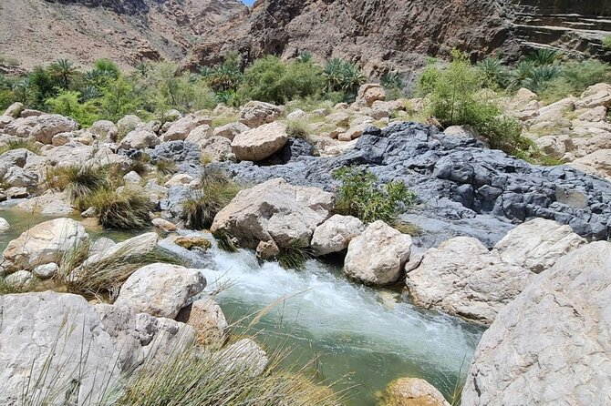 Private Wadi Arbyeen - Sinkhole - White Sand Beach- Full Day Tour - The brief Wadi Tiwi photo stop